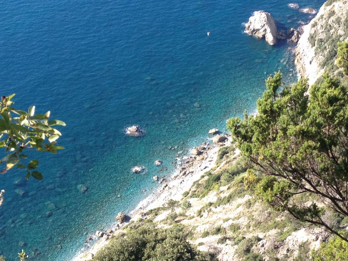 Host In Levanto - Maestrale Con Biciclette Eksteriør billede